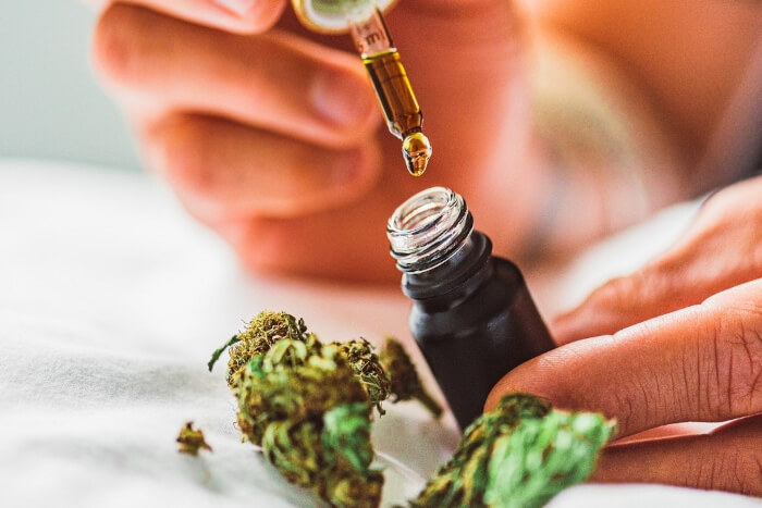 Bittertropfen Bitterstoffe Leber Stoffwechsel